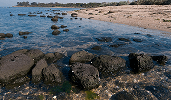The beach at Point Cook Coastal Park