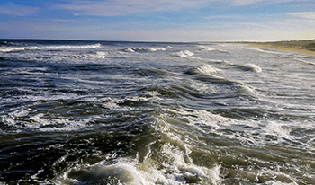 View of the waves of a beach
