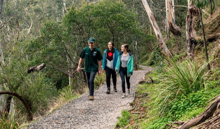 Three people walk along a sealed path through bushland.