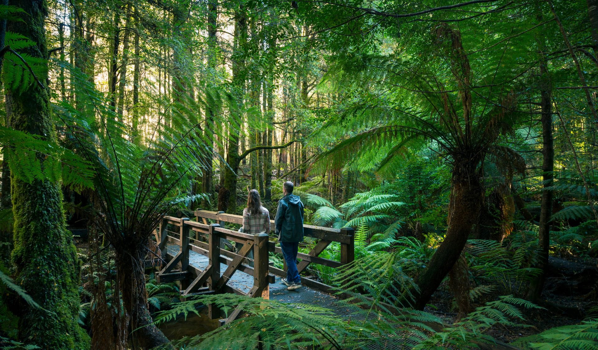 Couple walking on bridge along the Cambarville Circuit Walk in the Yarra Ranges National Park