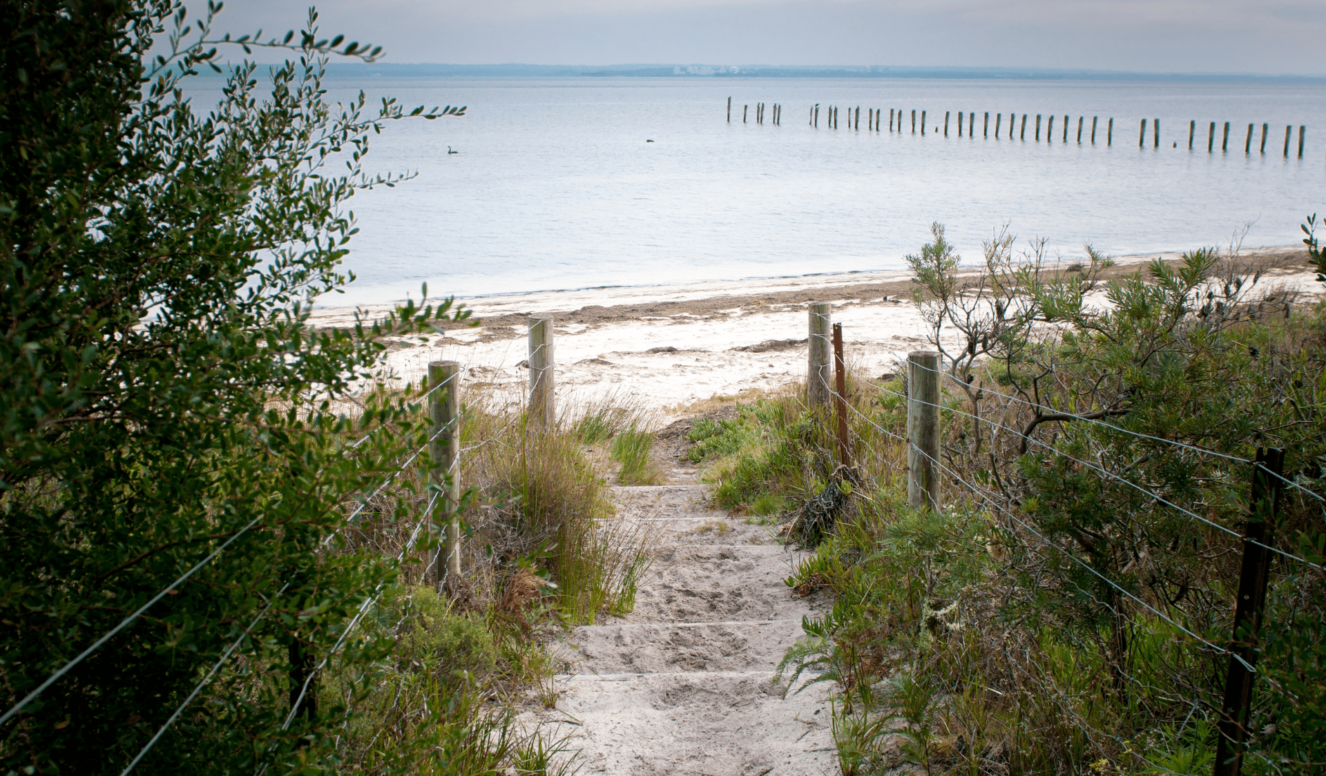 Steps leading down to the beach on French Island National Park 
