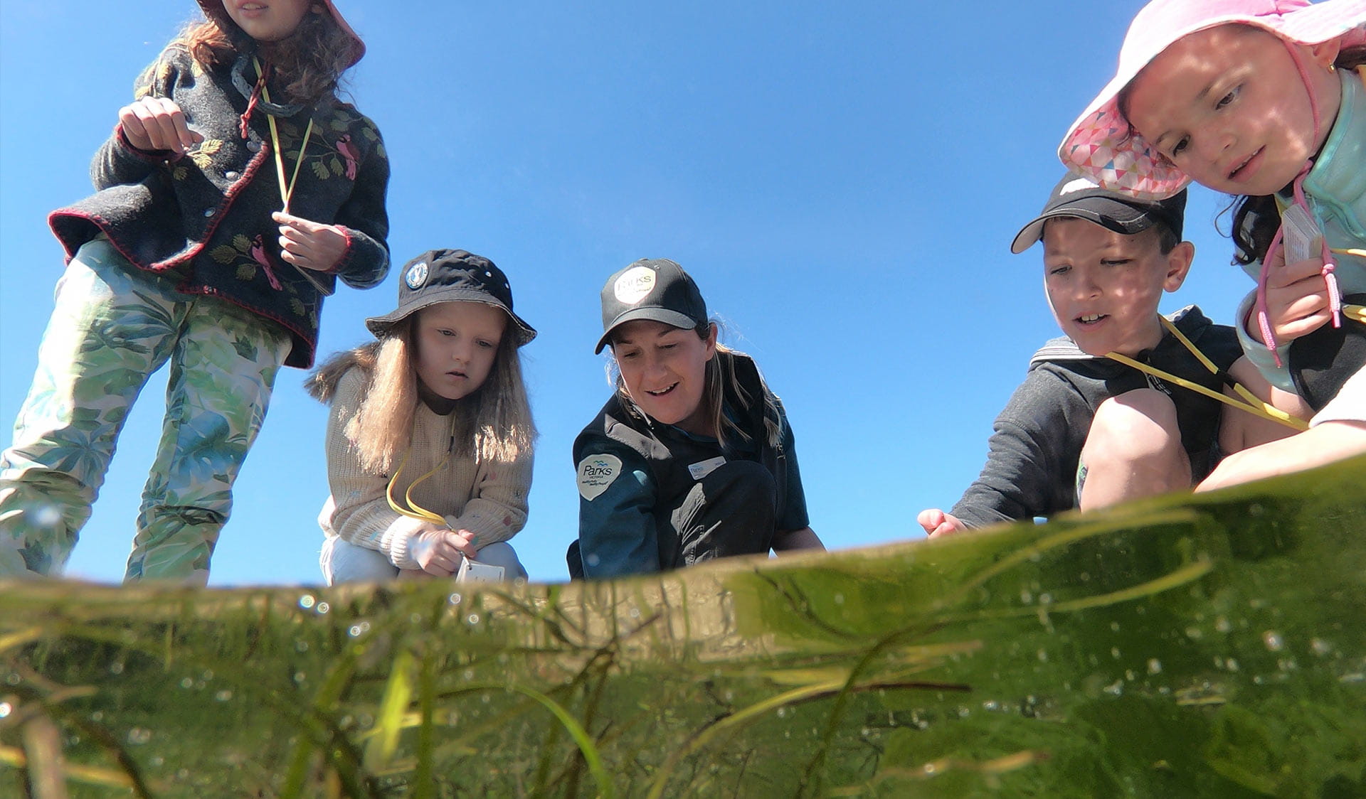 Three children explore a rockpool with a ranger at Point Cook Marine Park. 