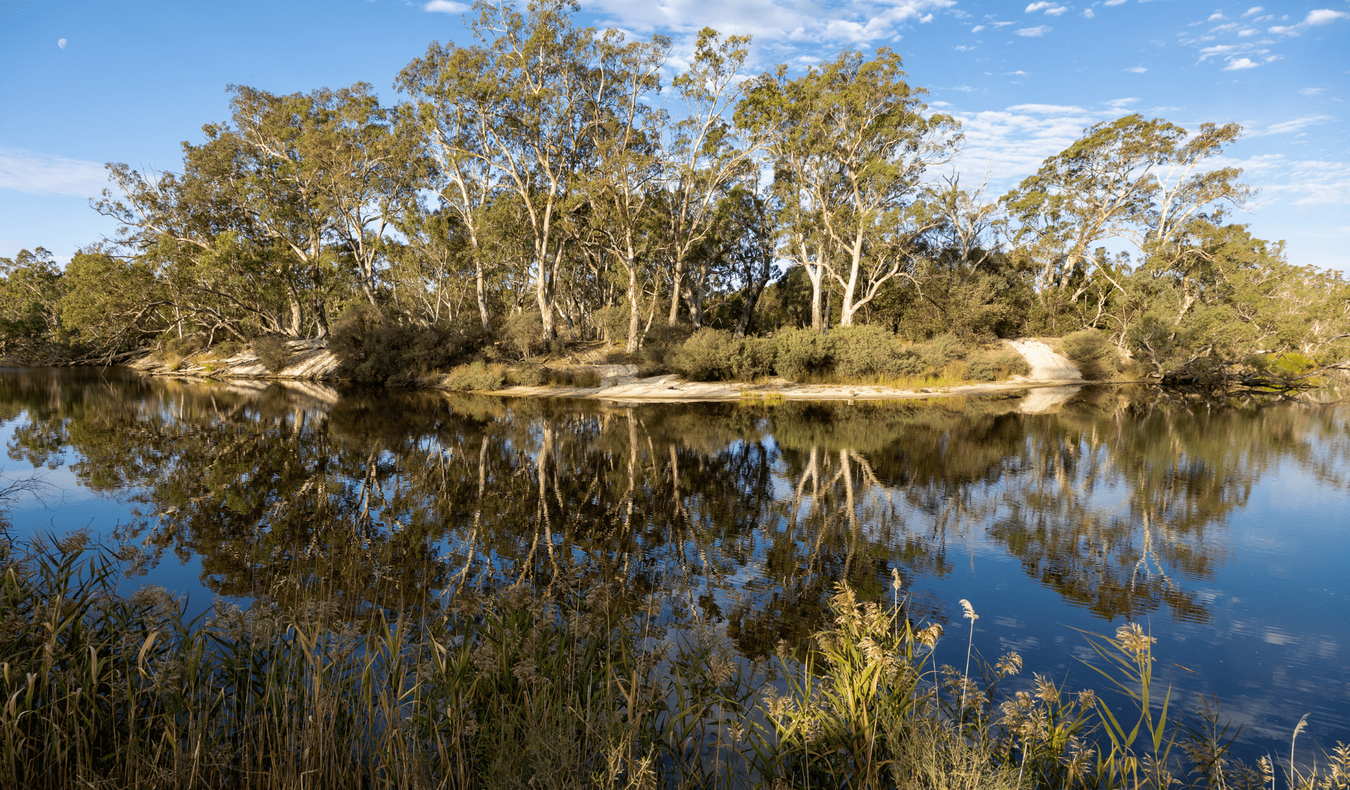 Body of water reflecting River Red Gums.