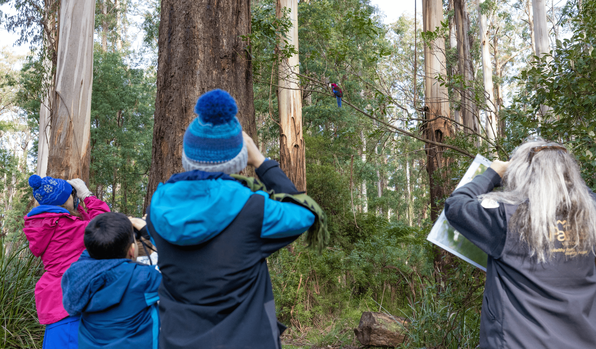Activities take place in parks across Victoria during the school holidays, like birdwatching at Grants Picnic Ground.