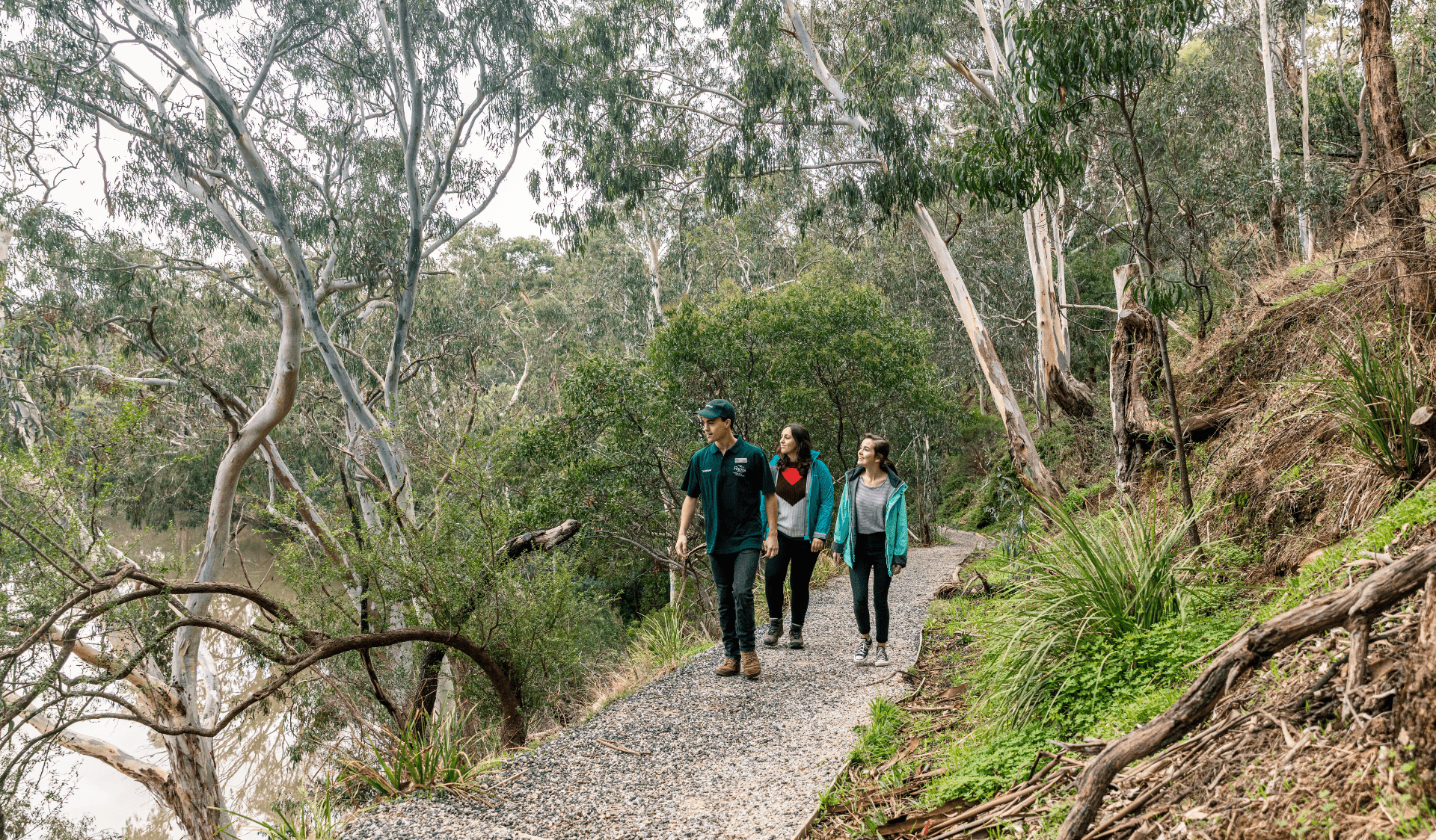 Group of walkers following path next to tall trees and river bank.