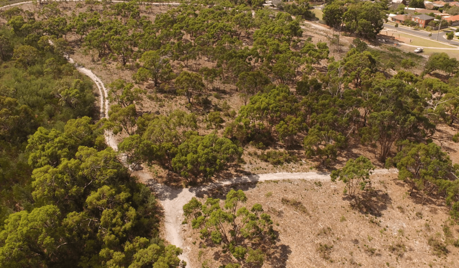 Birds eye view of The Pines Flora and Fauna Reserve.