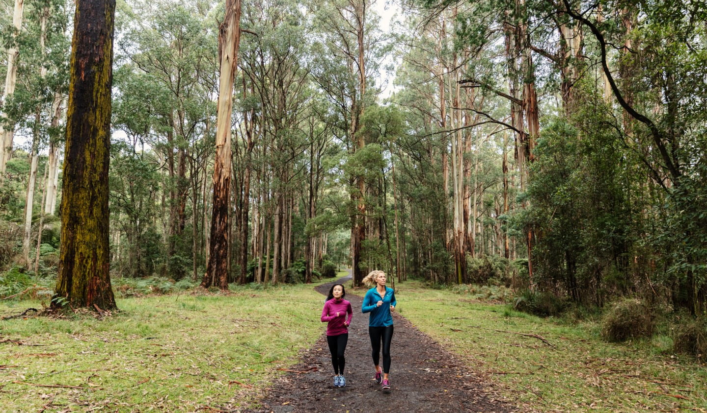 Running in nature is good for you.