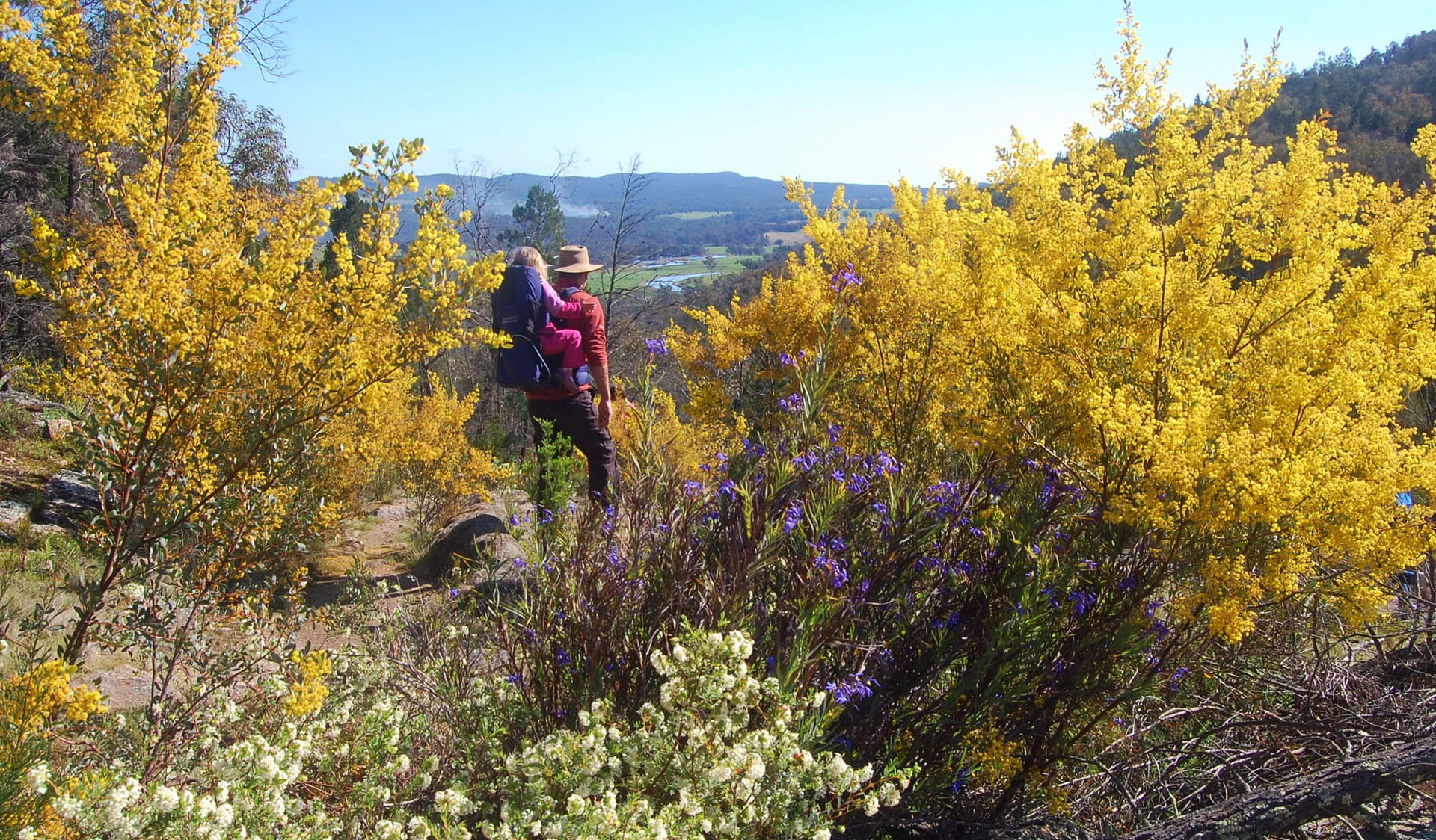 Man with child overlooking wildflowers at Scenic Gorge Drive, Beechworth Historic Park