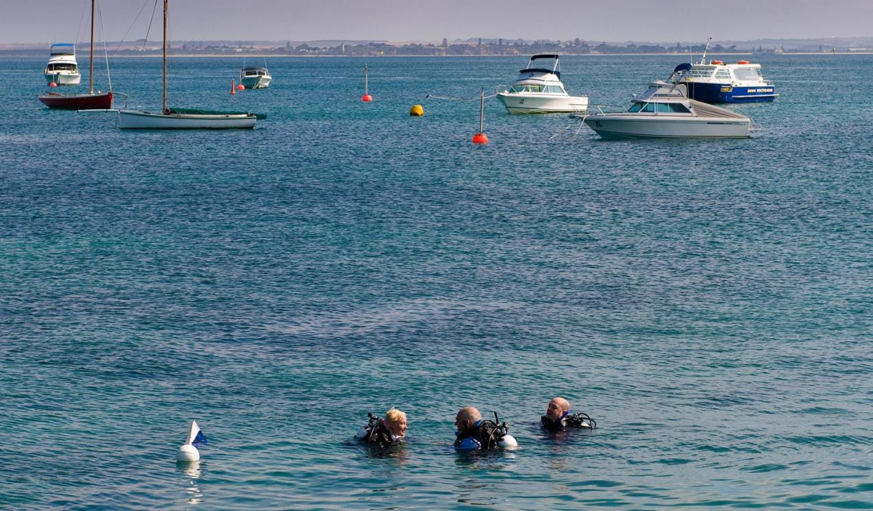 three divers in the water with boats in the background